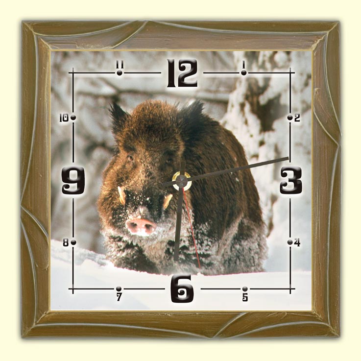 Stenska ura Divji prašič