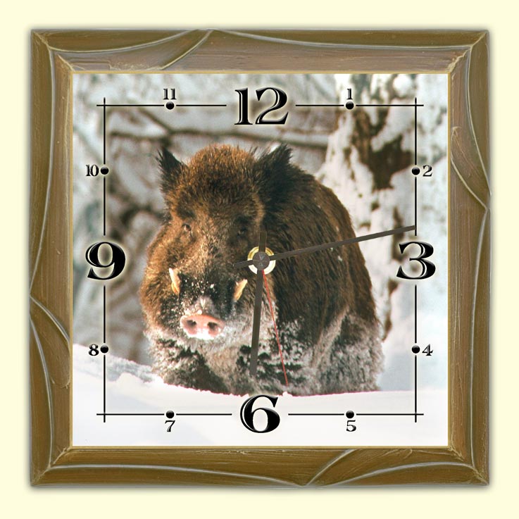 Stenska ura Divji prašič